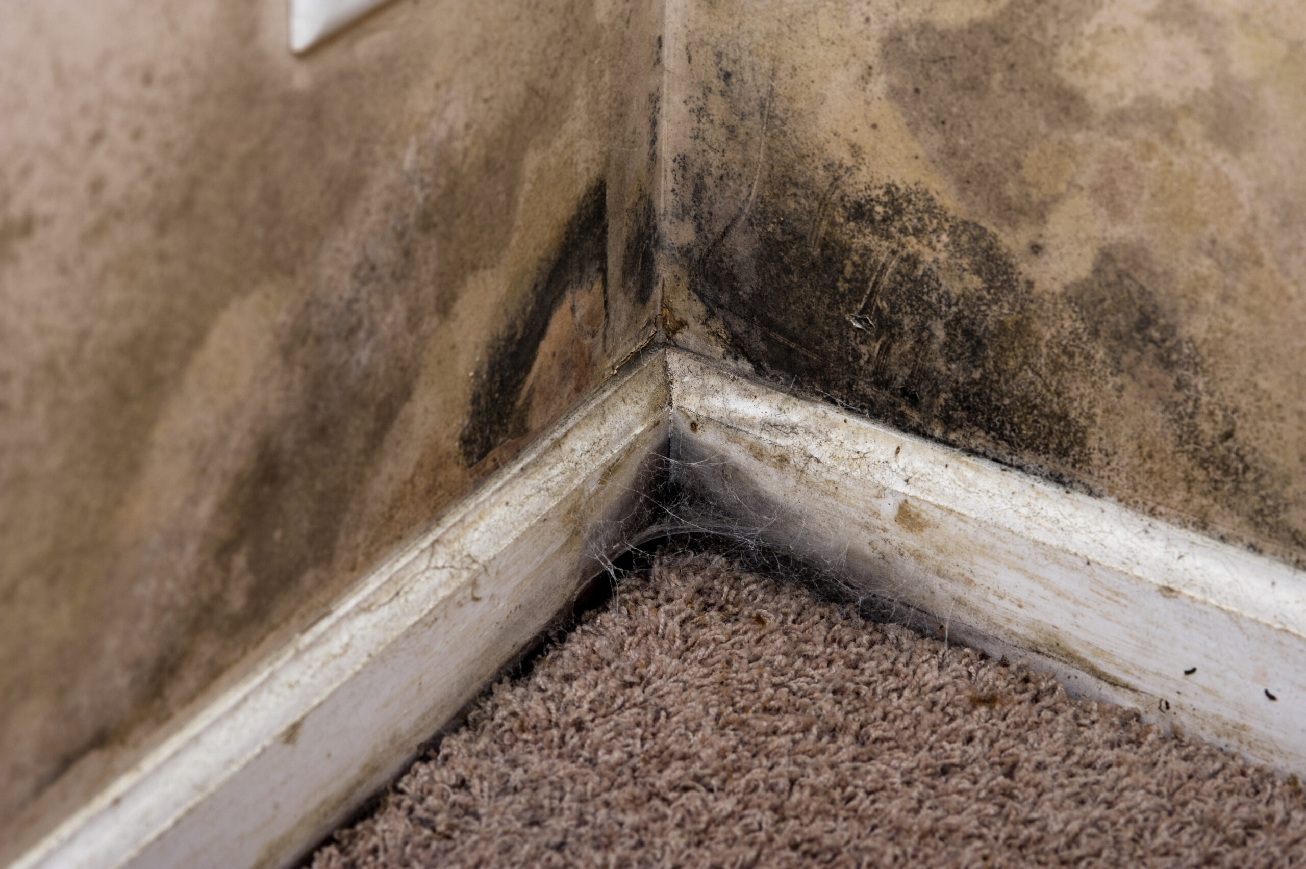 Signs Your Waterproofing System Needs an Upgrade This Winter